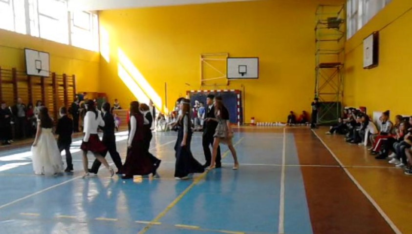 festival 7
