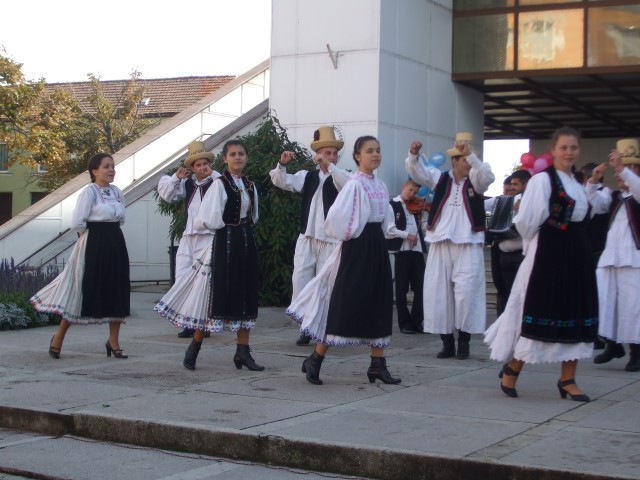 Parteneriat cu Scoala Moricz Zsigmond Mateszalka Ungaria