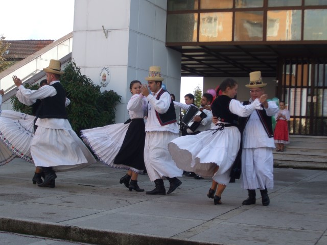 Parteneriat cu Scoala Moricz Zsigmond Mateszalka Ungaria